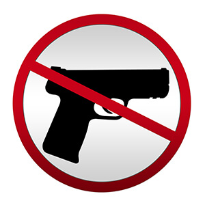 Blog post - Argument in Favor of Gun Regulation