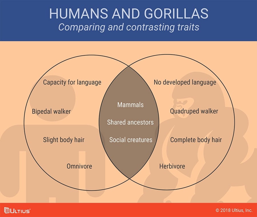 Venn diagram comparing humans and gorillas.