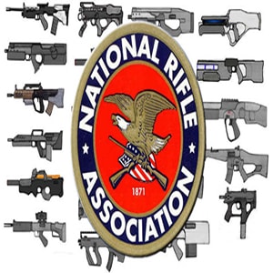 Blog post | Critical Essay on The National Rifle Association's Argument against Gun Control